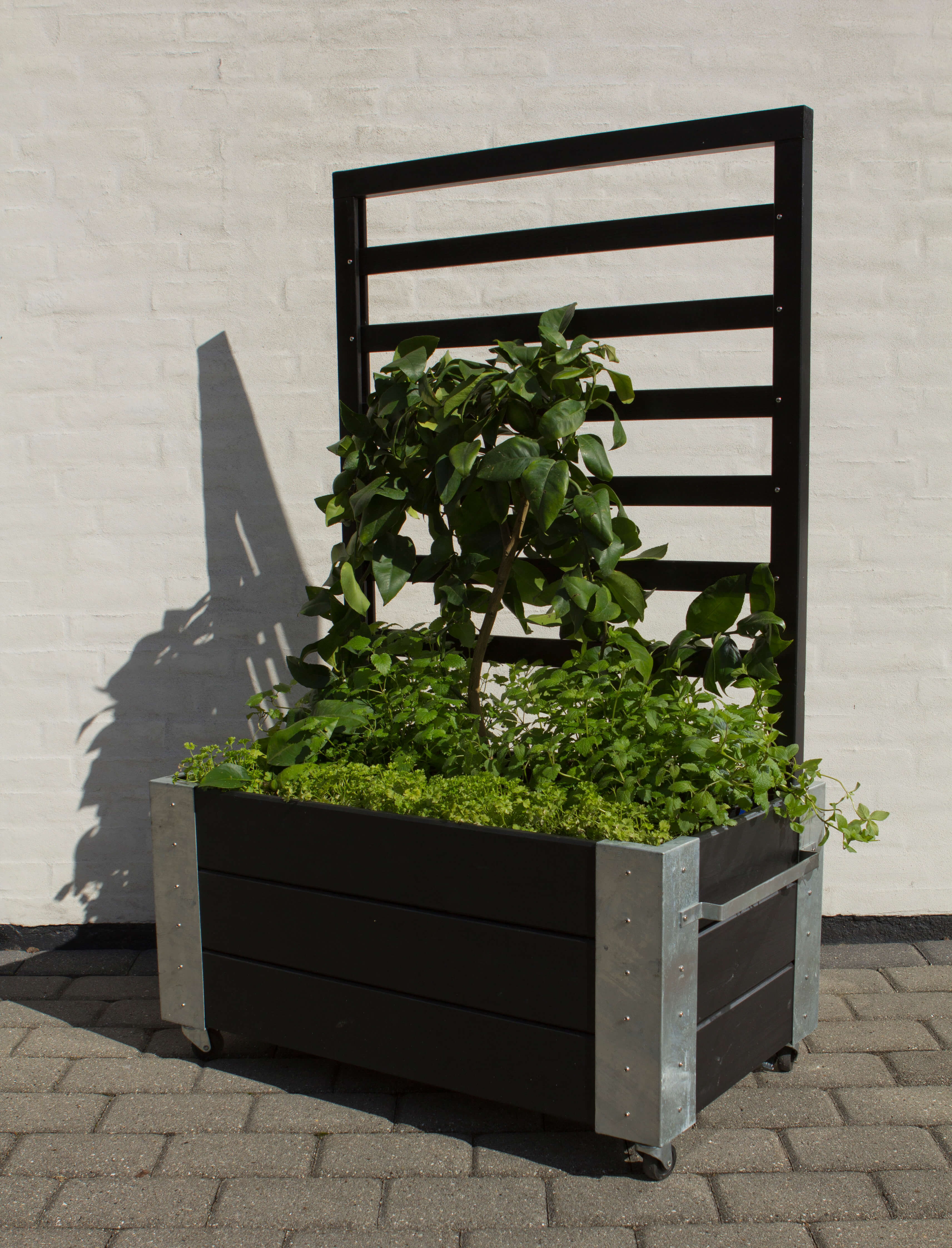 Cubic Raumteiler mit Spalier 130 cm Schwarz