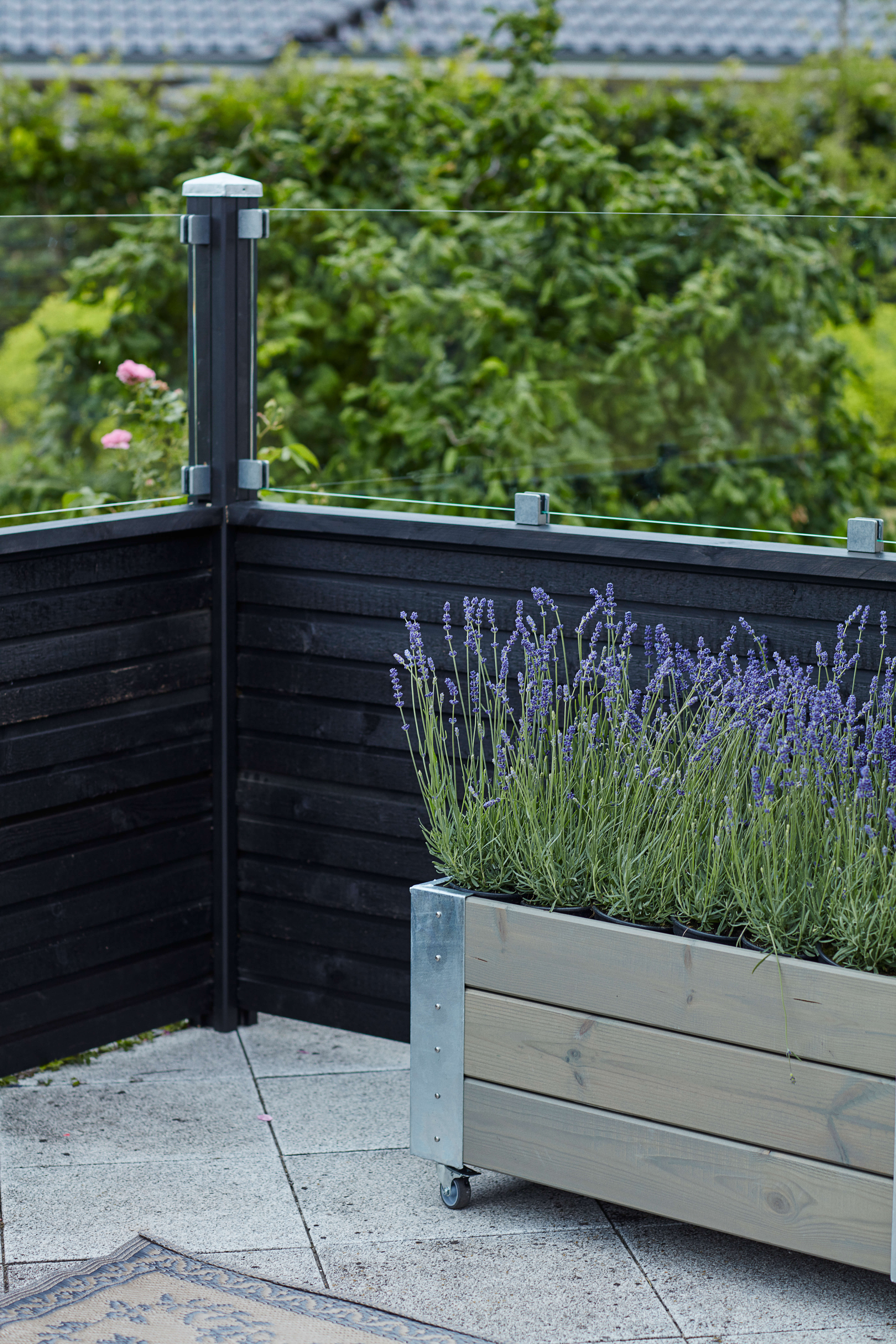 PLUS Plank Profilzaun mit Glas 174x125 cm Schwarz