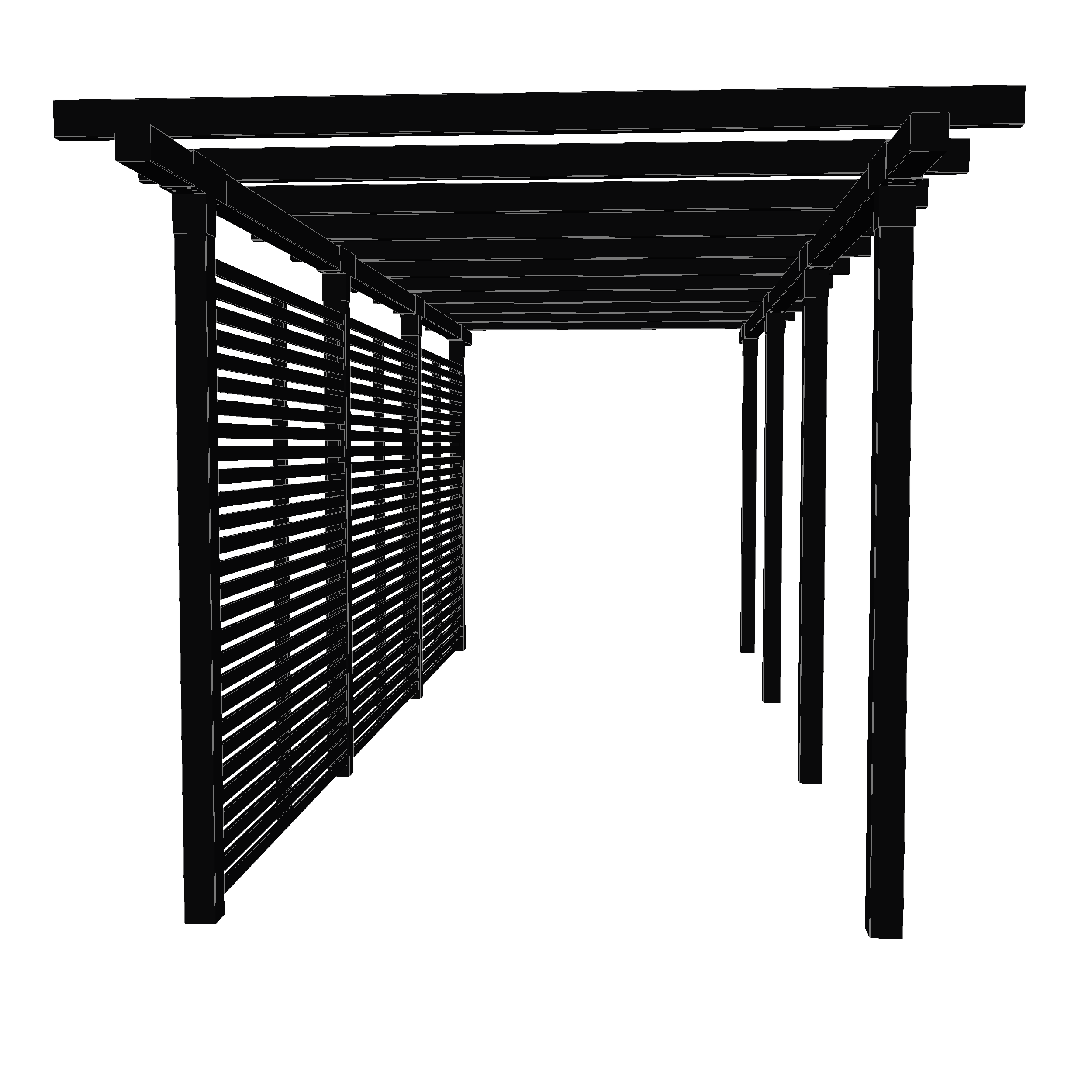 Doppelpergola, 3 Module mit Tokyo-Zaun Schwarz